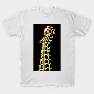 Sinuous Fern T-Shirt